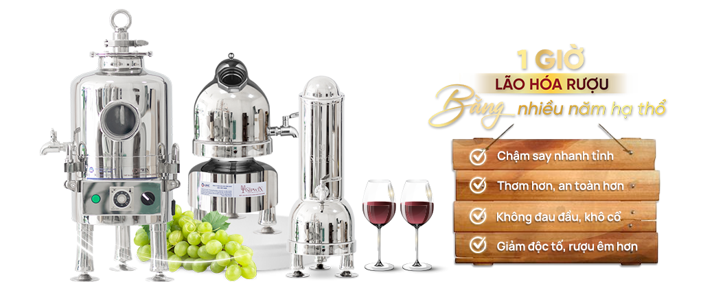 máy lão hóa rượu gipwin